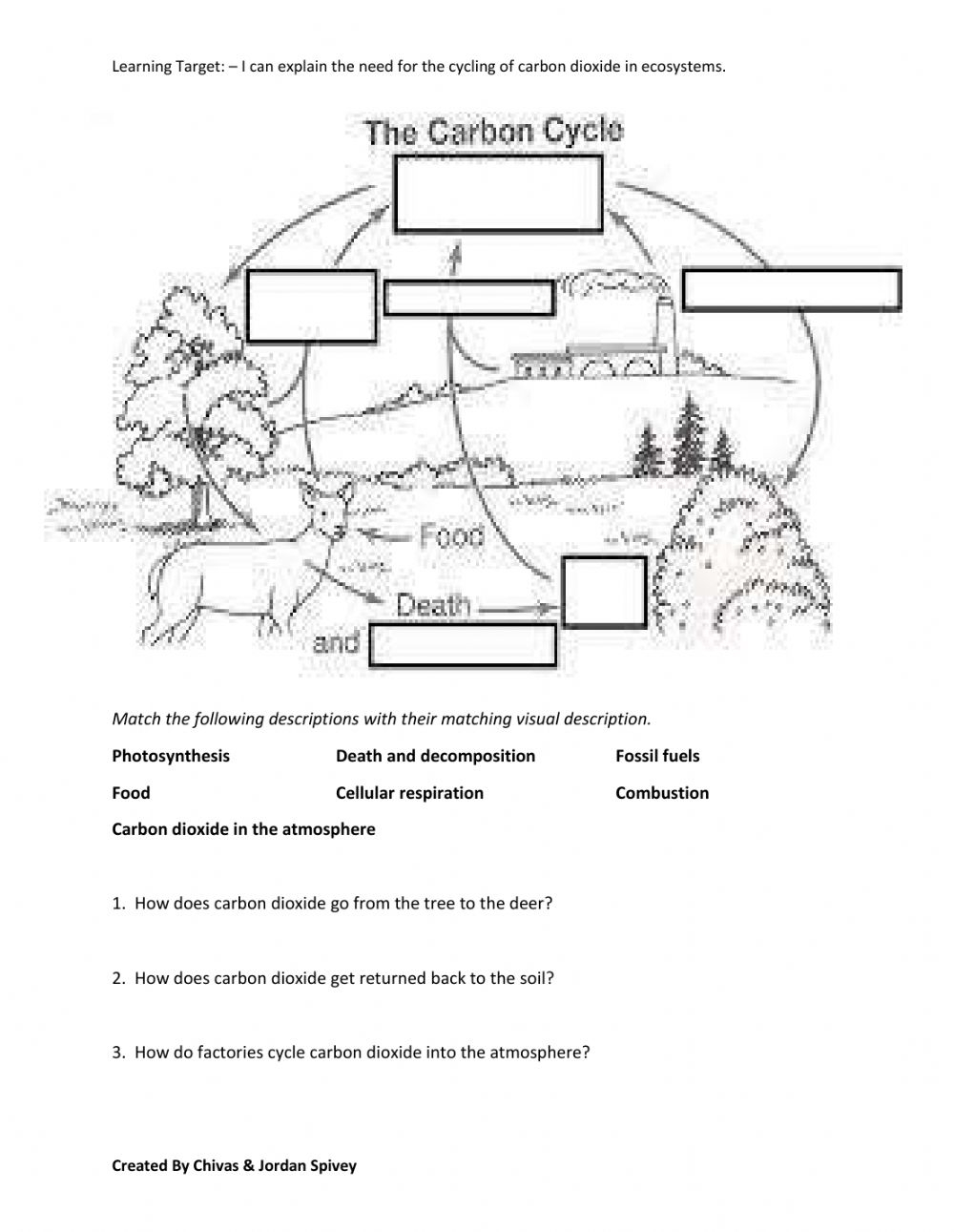 Nutrient Cycles Worksheet Answers Nutrient Cycles Worksheet Answers