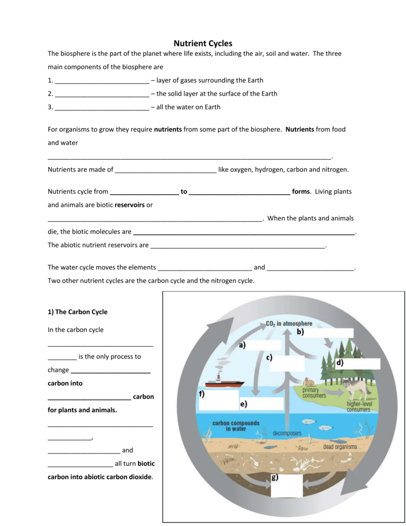 Nutrient Cycles Worksheets Nutrient Cycles Worksheets