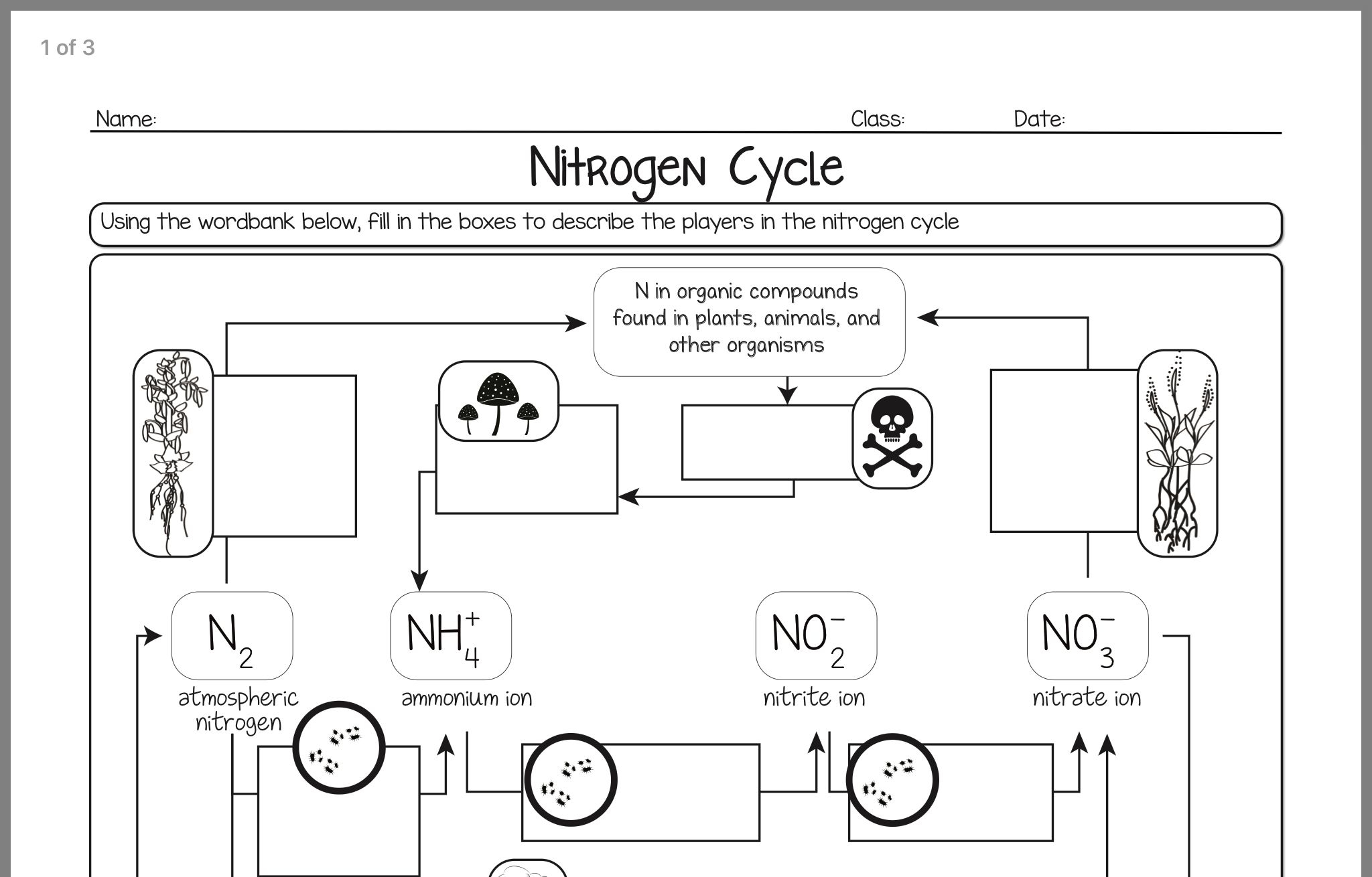 Pin By Cathy Moore On Grade 9 Science Nitrogen Cycle Nitrogen Cycle Pin By Cathy Moore On Grade 9 Science Nitrogen Cycle Nitrogen Cycle