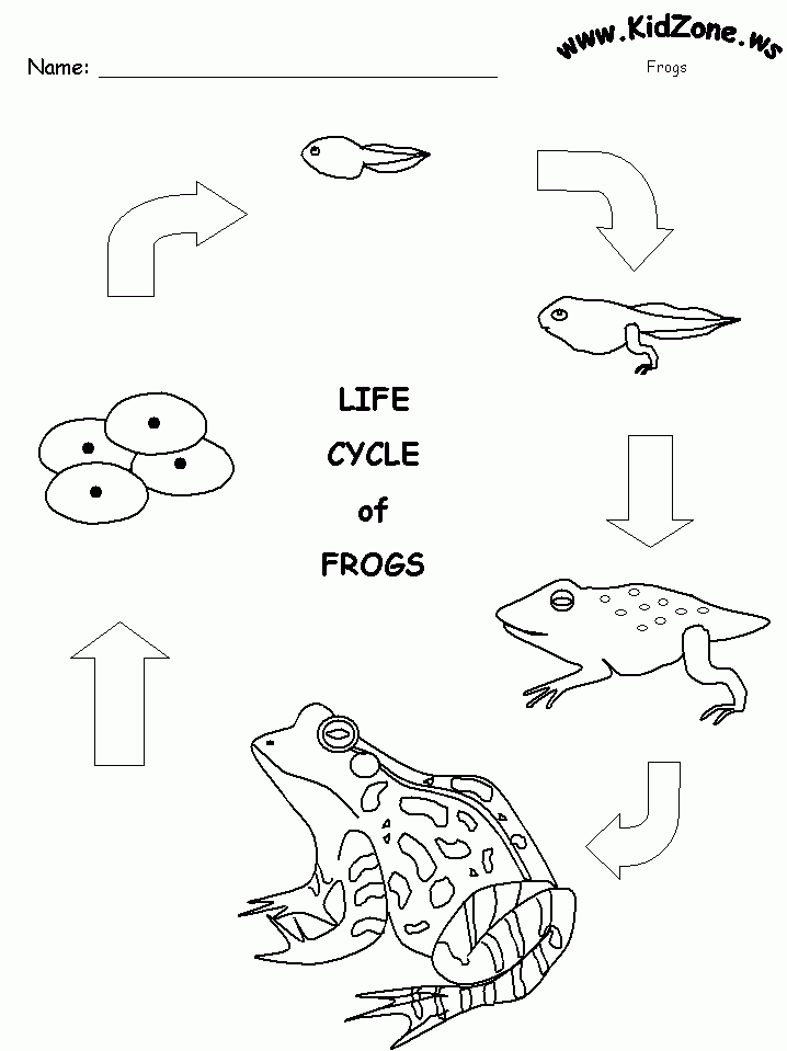 Pin On For The Classroom Pin On For The Classroom