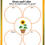 Plant Life Cycle Worksheets Free Printables For Kids Adanna Dill