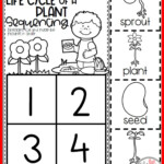 Plants All About Plants Plant Life Cycle Seed To Plant Take Home