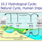 PPT Ch 10 Water Hydrologic Cycle Human Use PowerPoint