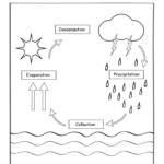 Printable Water Cycle Worksheets For Preschools