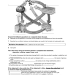 Rock Cycle Worksheet Answers