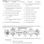 The Eukaryotic Cell Cycle And Cancer Overview Quizlet Discover Our