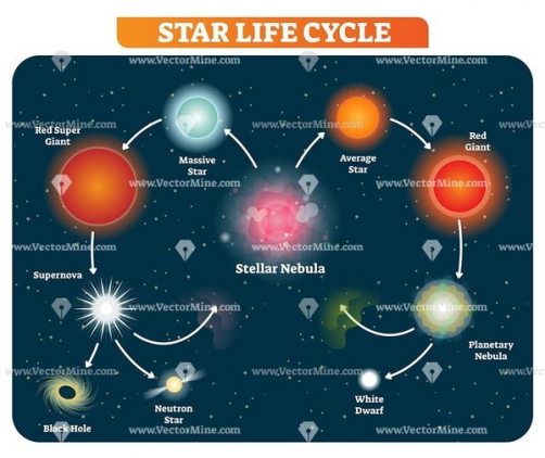 The Star Cycle Student Worksheet