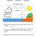Water Cycle Worksheet Answer Key
