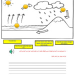 Water Cycle Worksheets