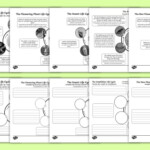 Year 5 Differentiated Life Cycles Worksheets English Romanian